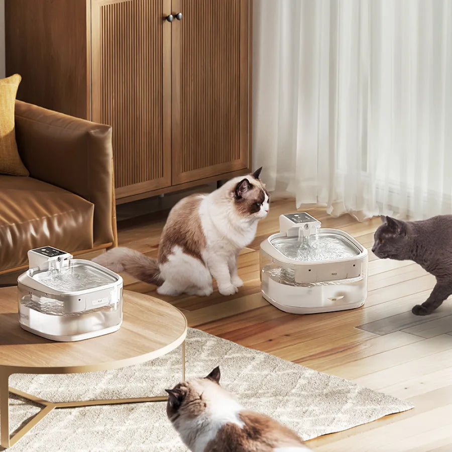 Pet Water Dispenser with Energy Storage Battery