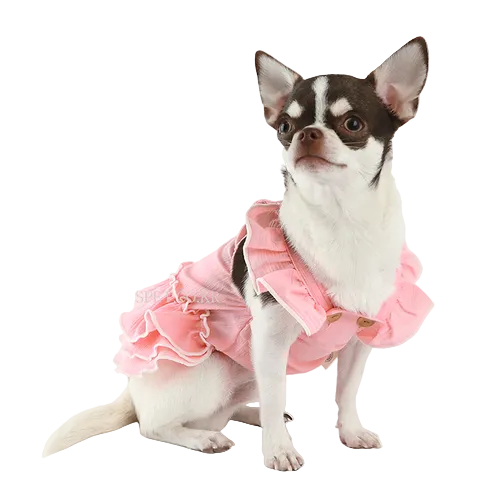 Blossom Pet Apparel: Stylish & Comfortable One-Piece