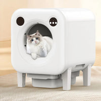 Smart Cat Litter Box