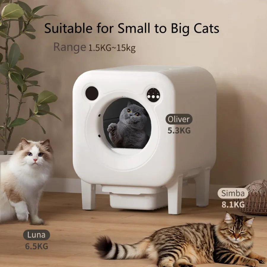 Smart Cat Litter Box