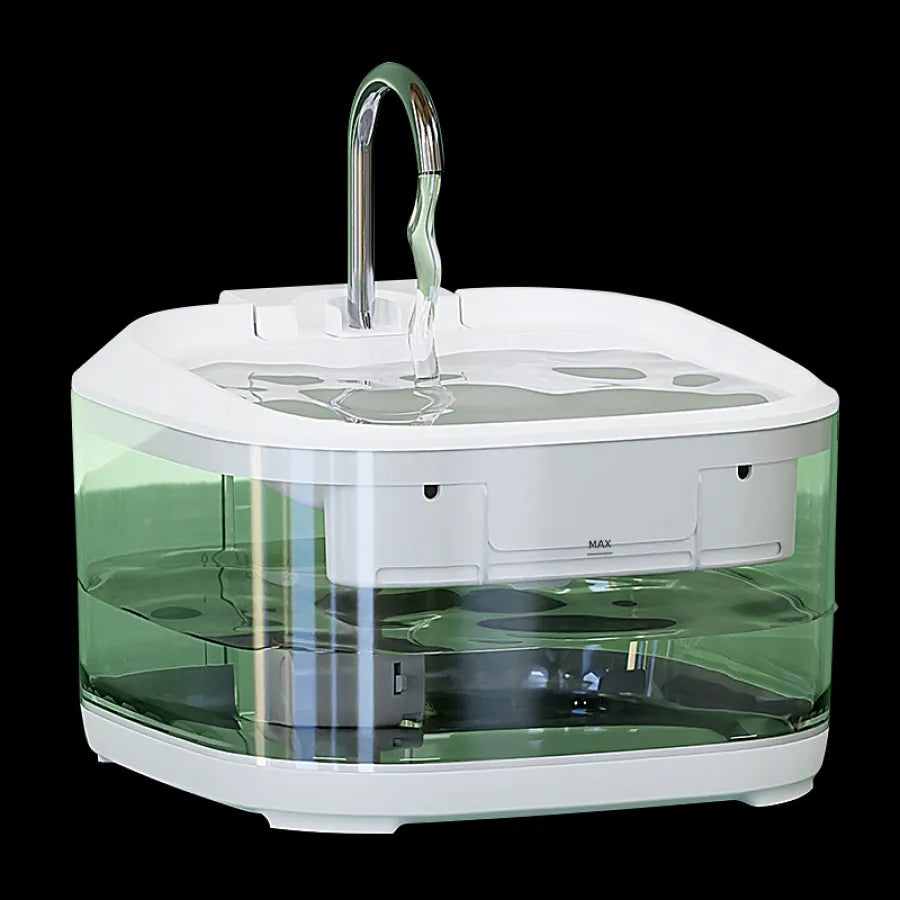 Standard pet water feeder