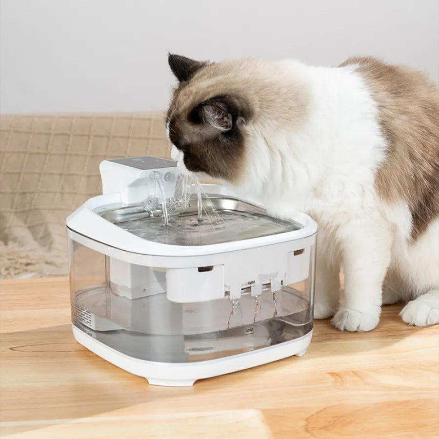 Pet Water Dispenser with Energy Storage Battery