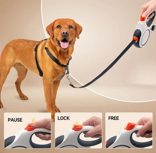 A 26-Foot Retractable Dog Leash with 360° Tangle-Free Design, One-Button Control, And Sturdy Nylon