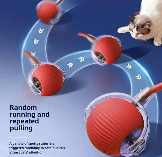 3pcs Set: Red, Gray, Green Automatic 360° Rolling Pet Ball -  USB Rechargeable LED Light