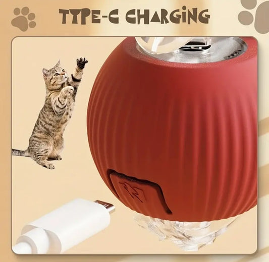 3pcs Set: Red, Gray, Green Automatic 360° Rolling Pet Ball -  USB Rechargeable LED Light