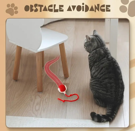 3pcs Set: Red, Gray, Green Automatic 360° Rolling Pet Ball -  USB Rechargeable LED Light